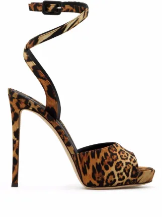 Giuseppe Zanotti