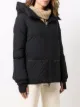 Herno hooded padded coat