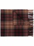 Études Studio check fringed scarf - Brown