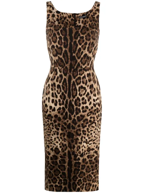 Dolce & Gabbana leopard-print square-neck fitted dress