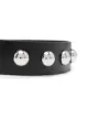 IRO studded leather belt