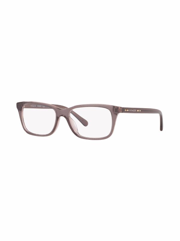 Coach best sale glitter eyeglasses