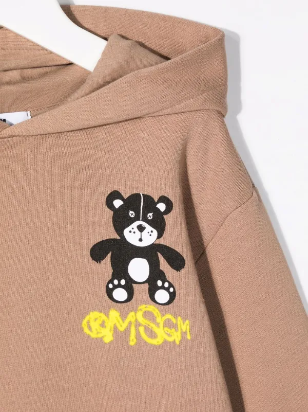 brown teddy moletom com capuz