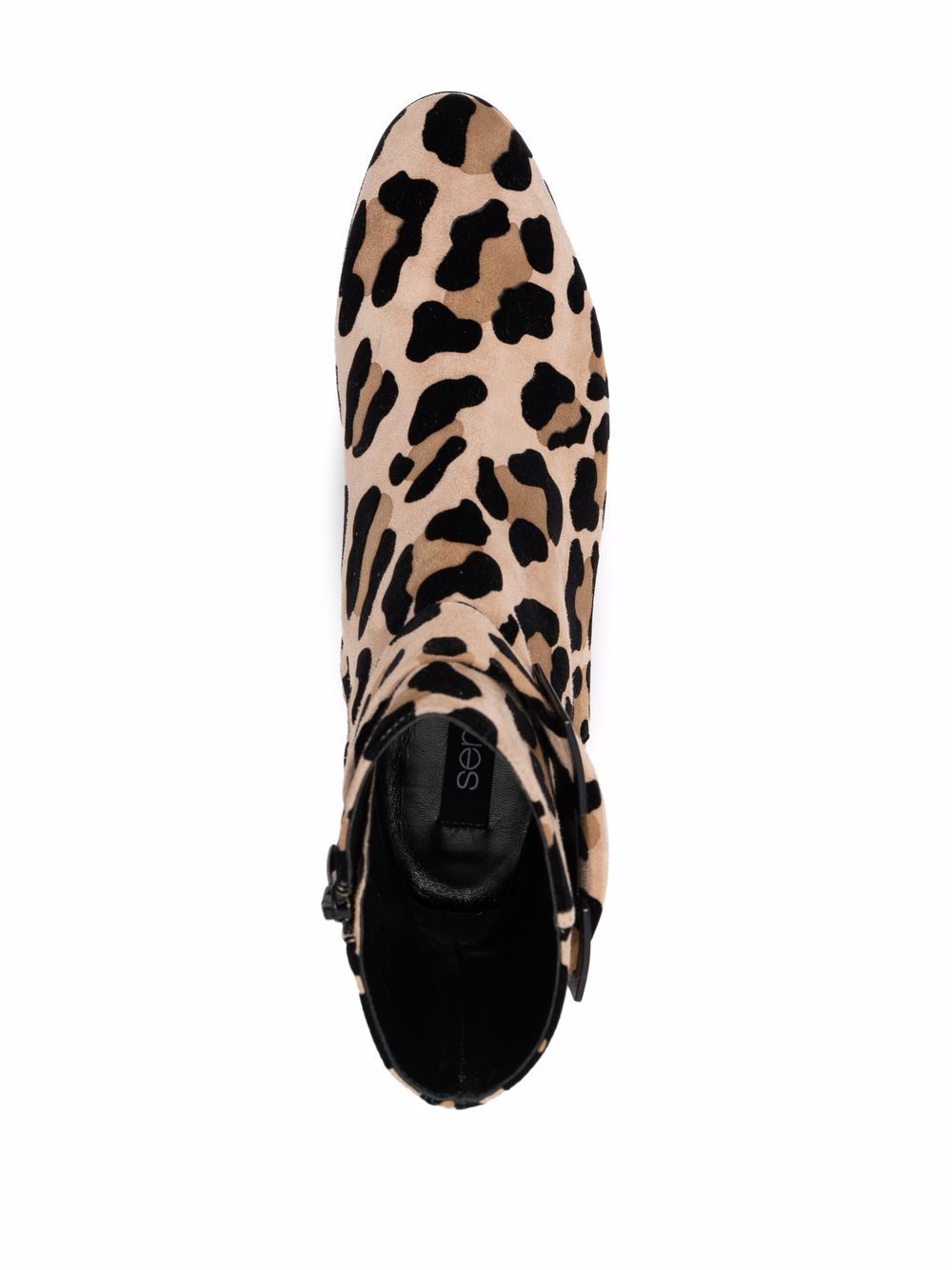 фото Sergio rossi ботинки с леопардовым принтом
