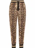 Dolce & Gabbana leopard-print track pants - Brown