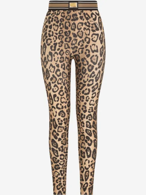 Dolce & Gabbana leopard-print jersey leggings