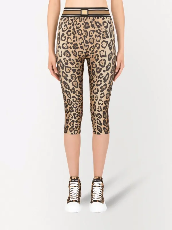 Dolce \u0026 Gabbana leopard-print Cropped 