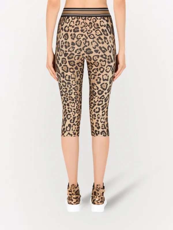 dolce and gabbana leopard leggings