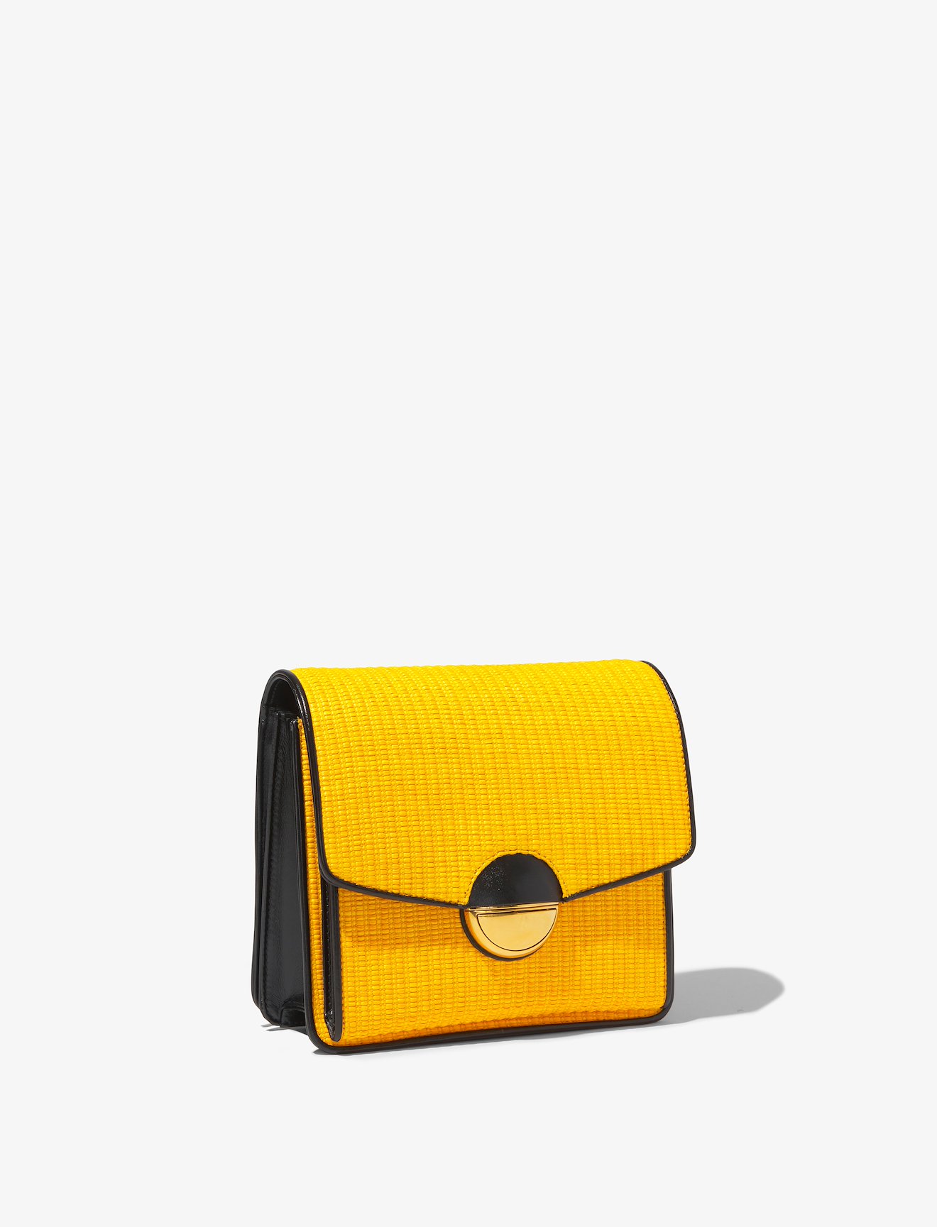 Raffia Dia Day Bag #1
