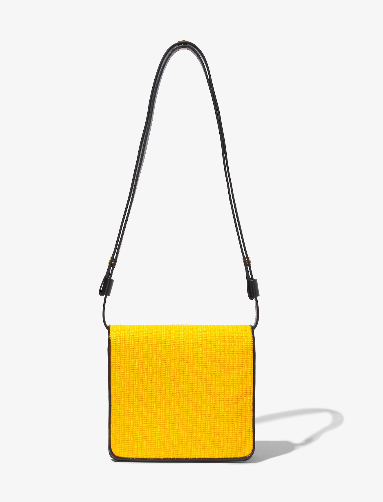 Raffia Dia Day Bag #3
