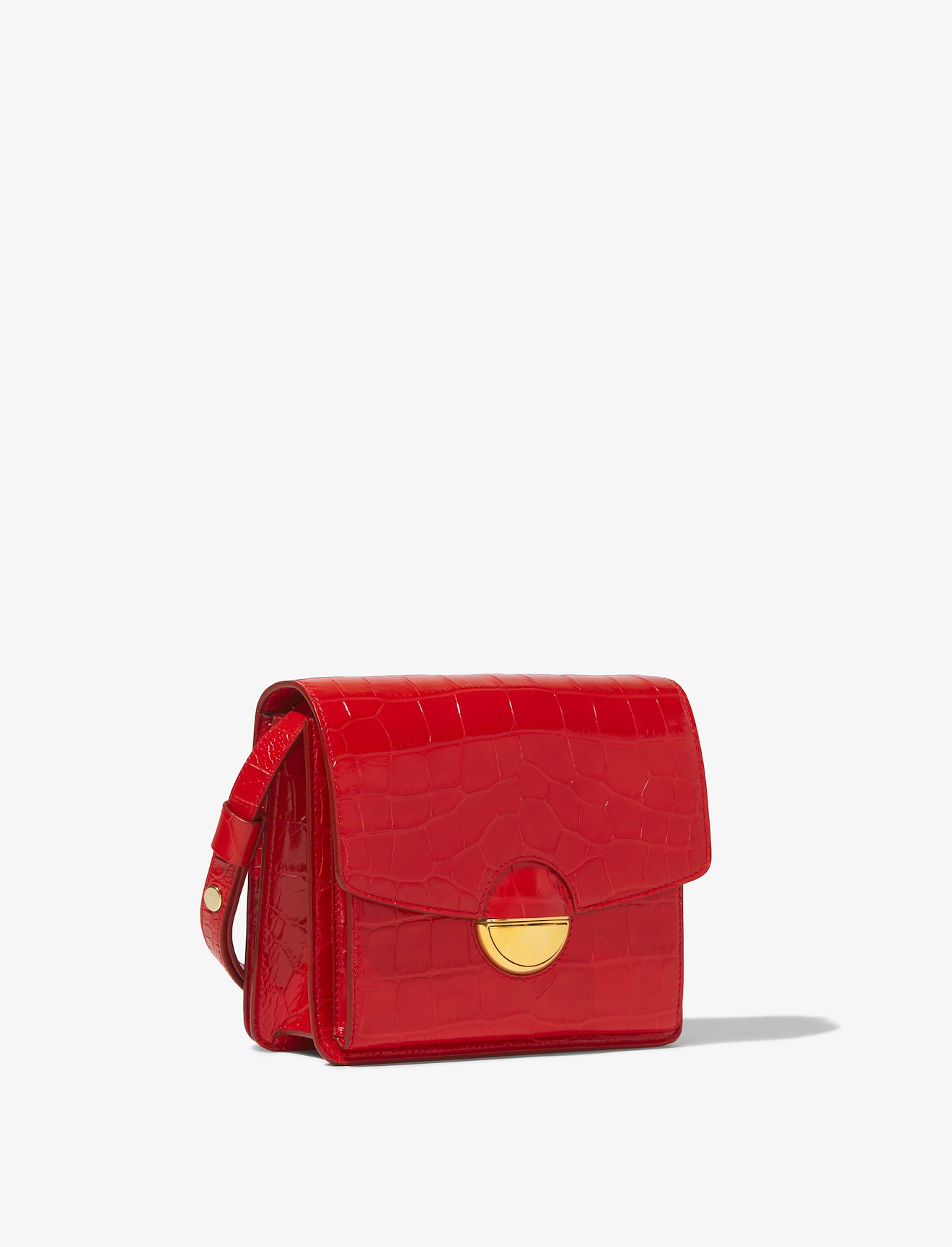 Embossed Croc Dia Day Bag #1