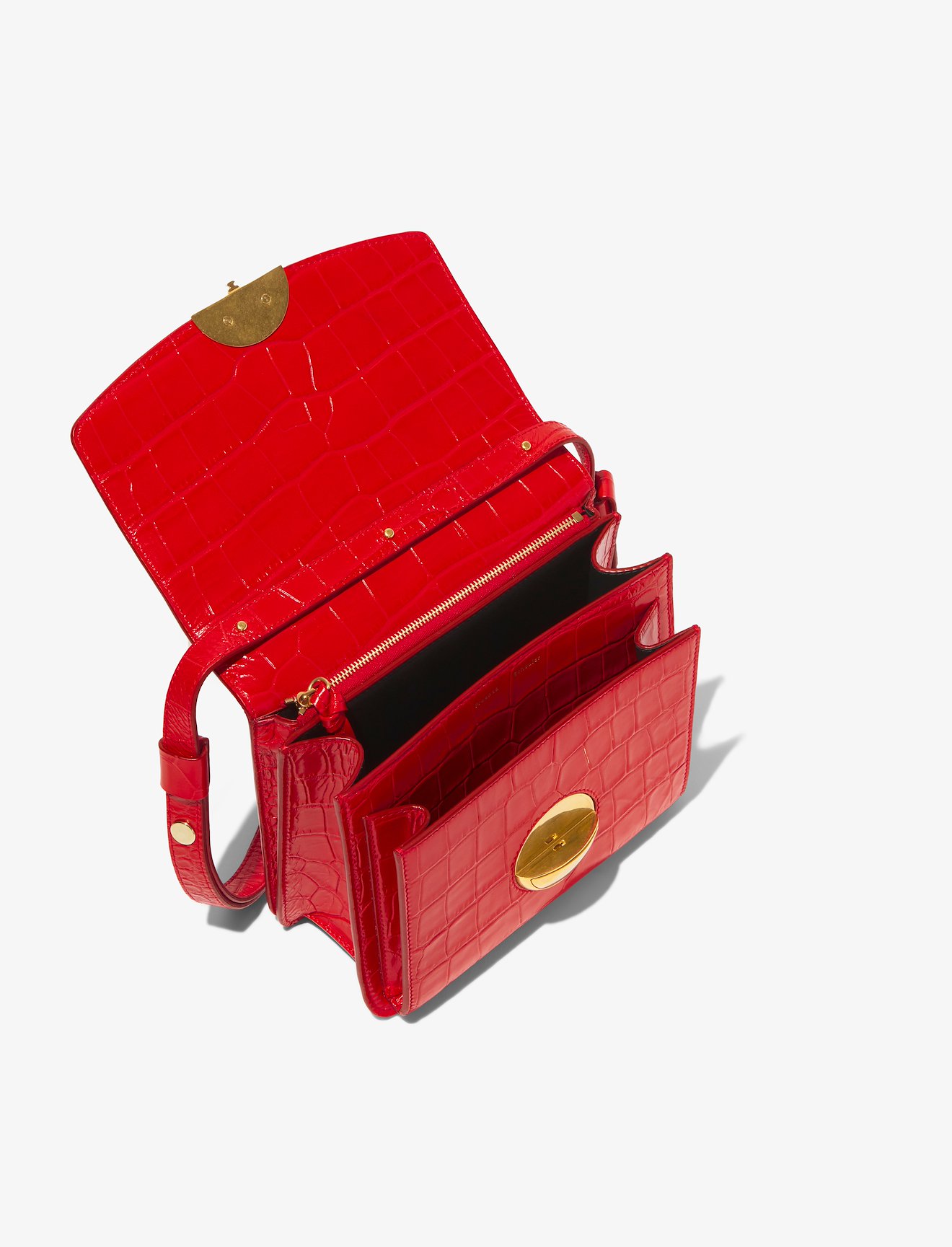 Embossed Croc Dia Day Bag #4