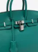 Hermès 2017 pre-owned Birkin 25 bag