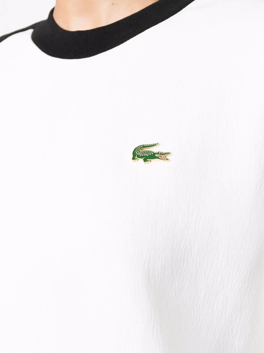 фото Lacoste толстовка в стиле колор-блок с логотипом