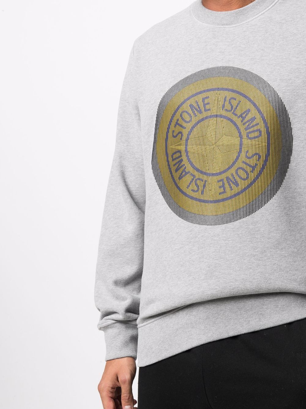 фото Stone island толстовка с логотипом compass