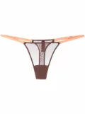 Maison Close mesh mini thong - Brown