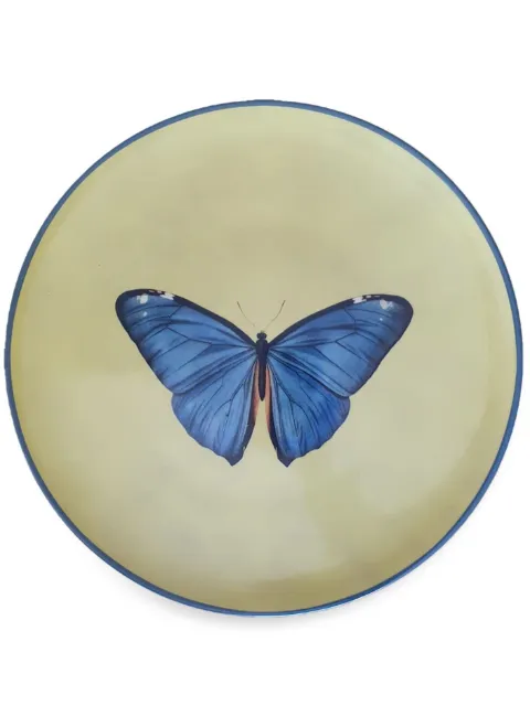 Les-Ottomans Insetti Collection plate