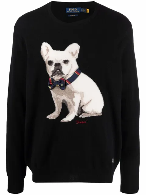 ralph lauren cashmere dog sweater