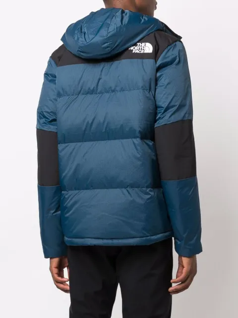 the north face him light down hood