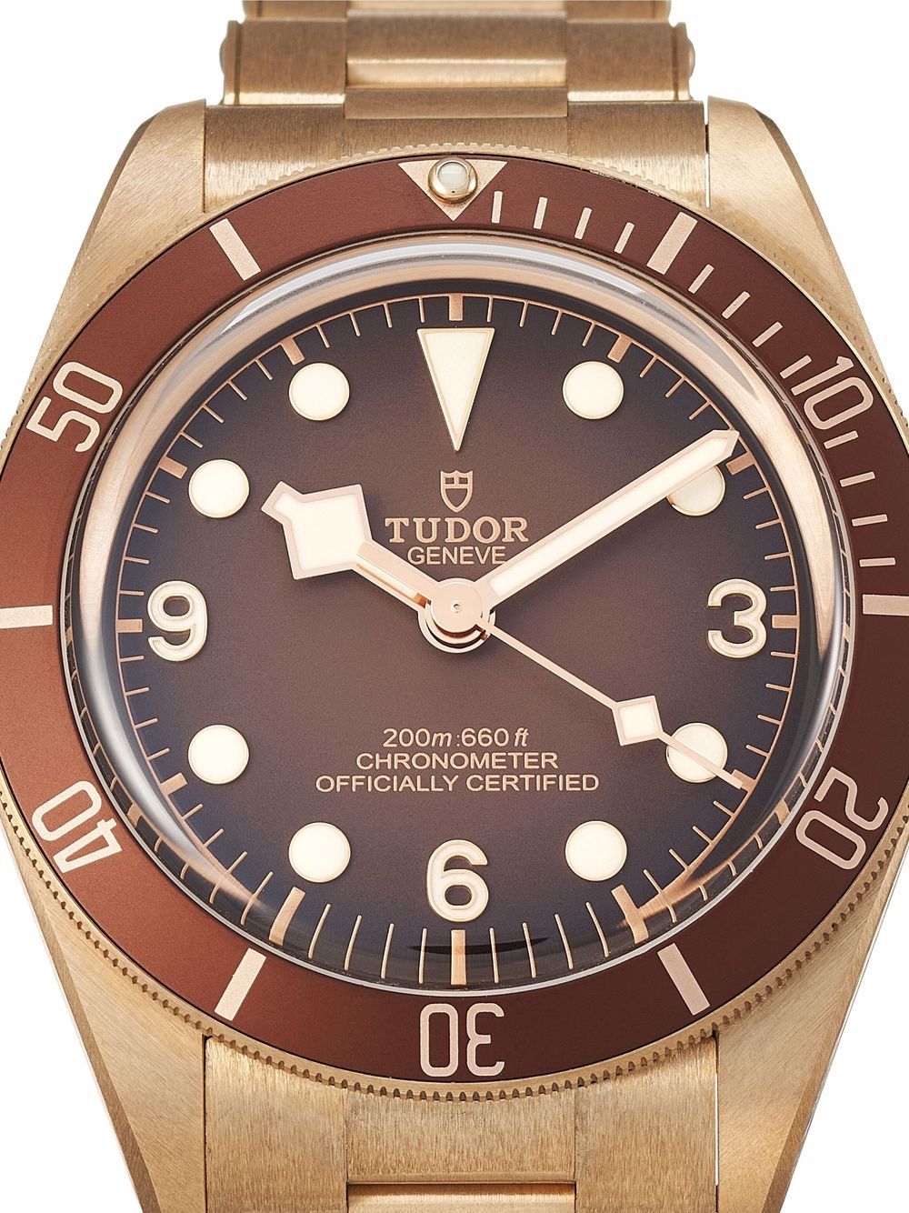 TUDOR 2021 pre-owned Black Bay horloge - Bruin