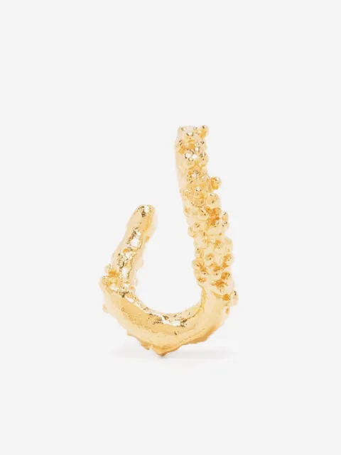 Alighieri The Rocky Terrain hoop single earring