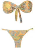 Amir Slama palm leaf print bandeau bikini - Orange