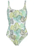 Amir Slama palm leaf print swimsuit - Green