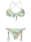 Amir Slama palm leaf print bikini - Green