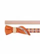 Salvatore Ferragamo Vara Bow upcycled belt