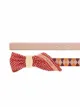 Salvatore Ferragamo Vara Bow upcycled belt