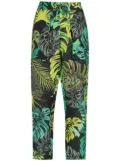 Amir Slama tropical print straight trousers - Green