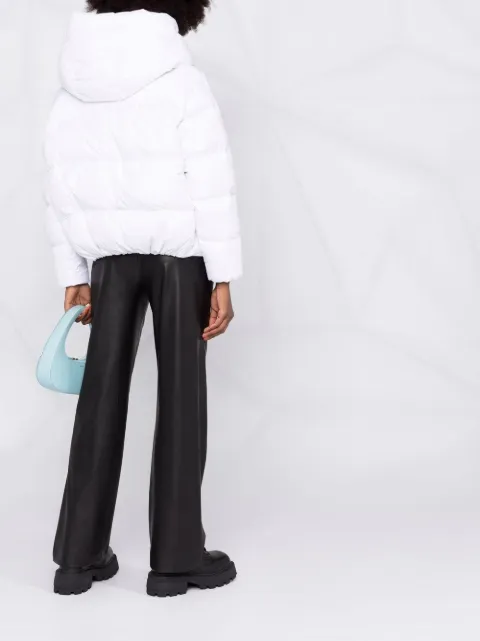 long coat teddy