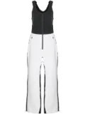 Aztech Mountain Top-To-Bottom bib - Neutrals