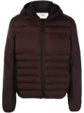 Aztech Mountain Ozone insulated fleece jacket - Purple