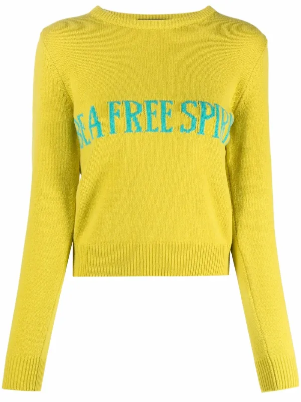 alberta ferretti jumper