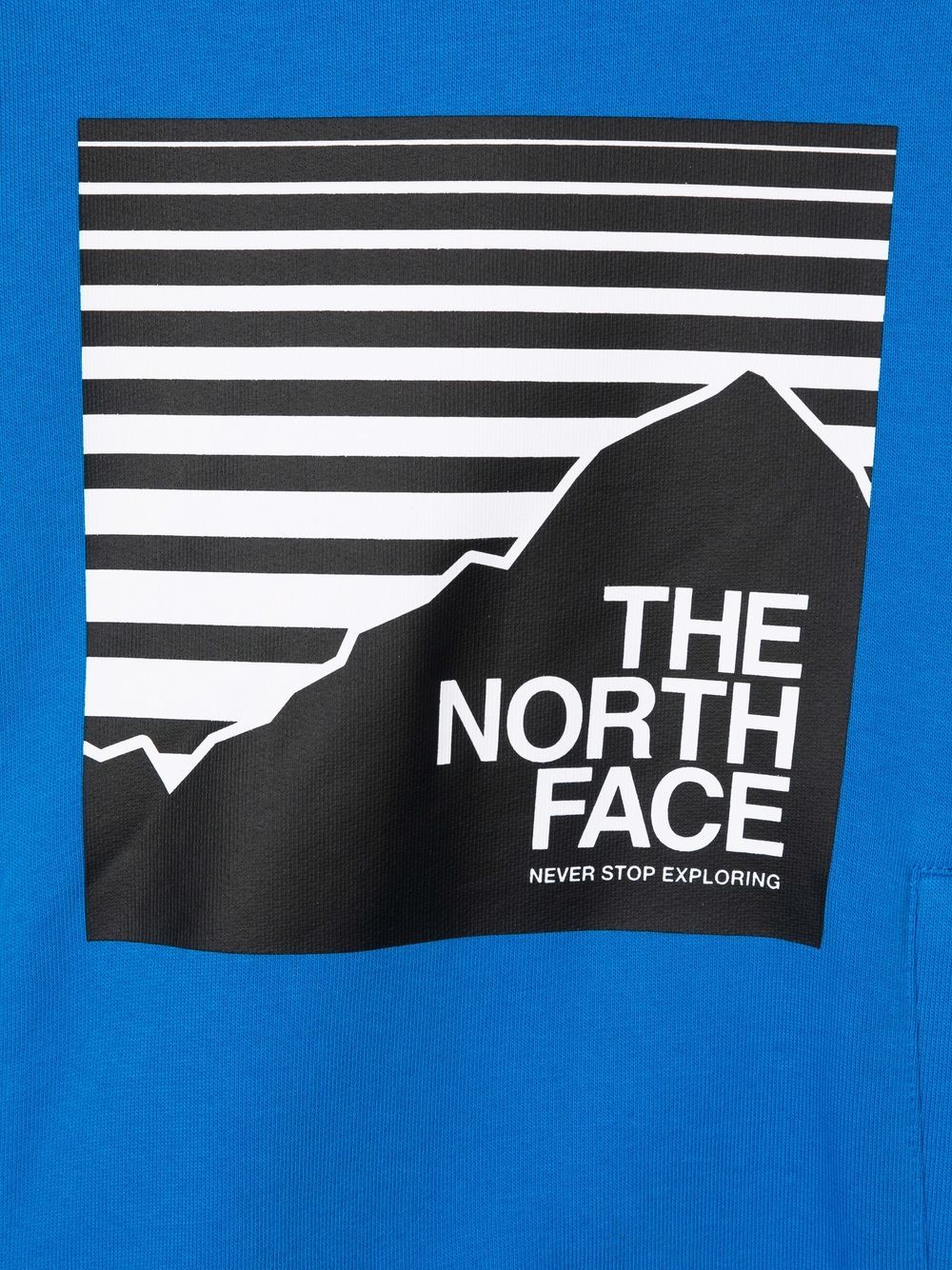 фото The north face kids худи с логотипом