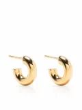 Missoma chubby mini hoop earrings - Gold
