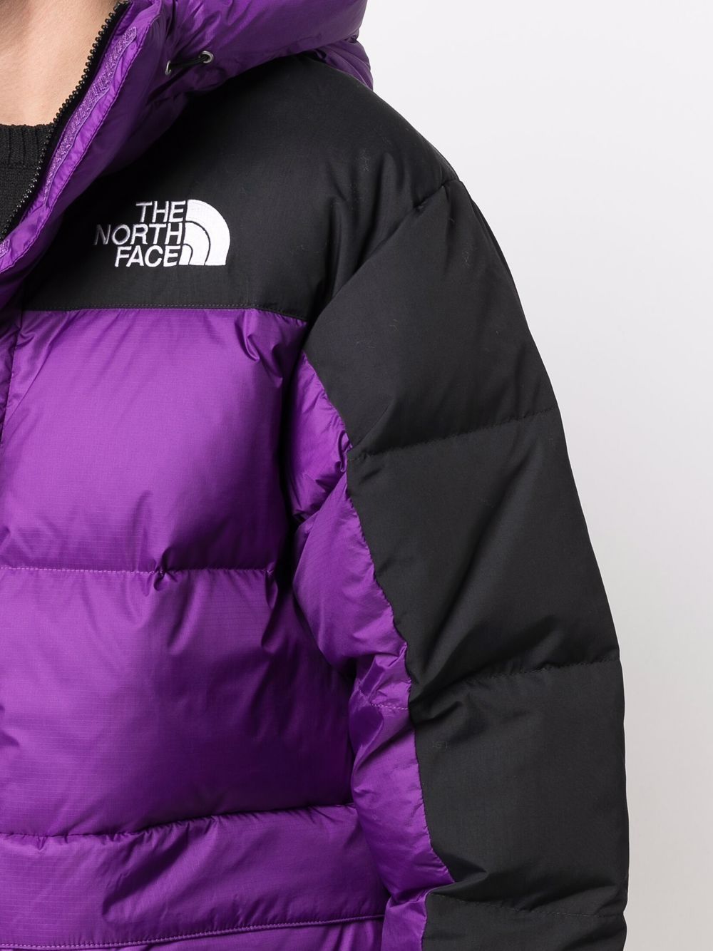 фото The north face пуховик в двух тонах