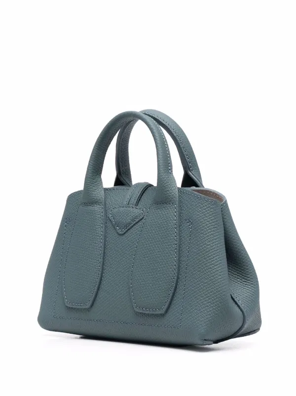 longchamp roseau python