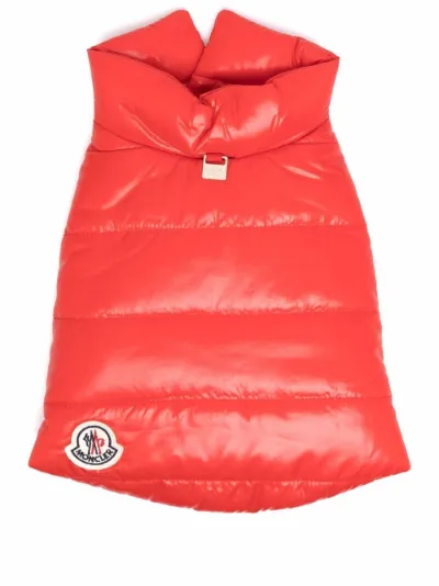logo-patch padded dog coat | Moncler x 