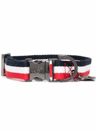 moncler dog collar