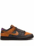 Nike Dunk Low Retro PRM ""Cider"" sneakers - Orange