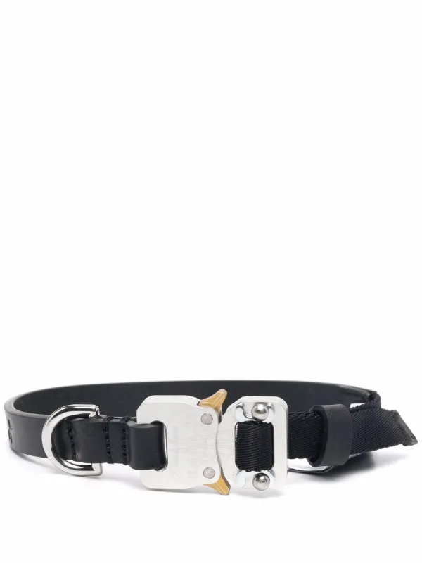 moncler dog collar