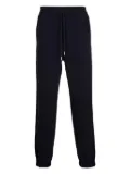 Alexander McQueen tapered-leg track pants - Blue