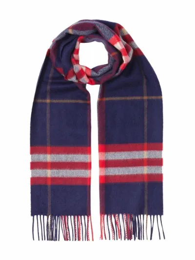 burberry cashmere classic plaid scarf
