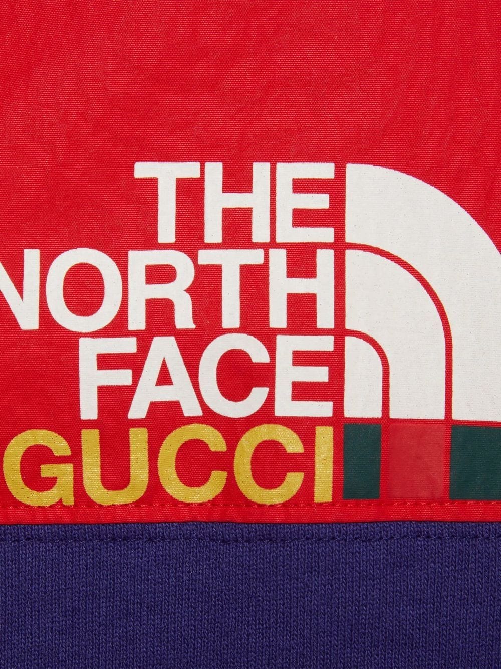 the north face gucci hoodie