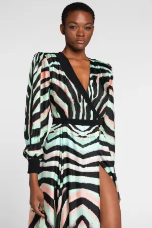 Zebra-Print Silk Maxi Dress | Roberto 