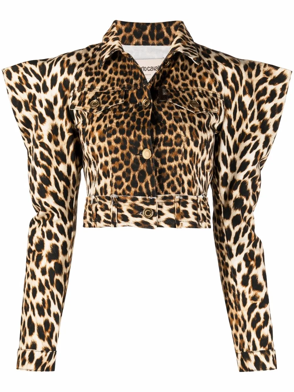 

Roberto Cavalli peak-shoulder leopard-print jacket - Brown