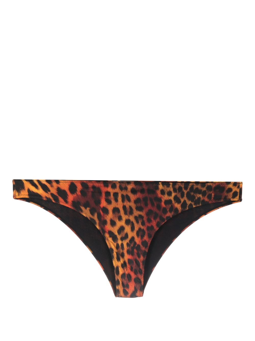 Roberto Cavalli leopard-print bikini bottoms - Black