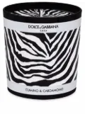 Dolce & Gabbana zebra-print scented candle (250g) - Black